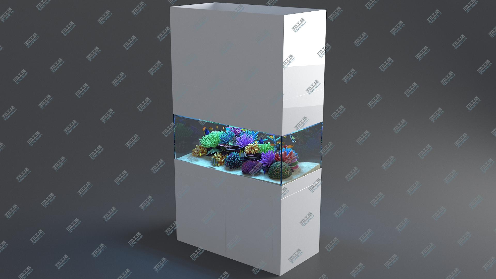 images/goods_img/202104093/3D Aquarium 02 model/4.jpg